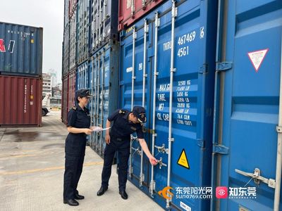 东莞海关创新试点 首票全球供应链中心“水水中转”多式联运服务顺利开展