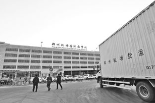 河南多式联运提速急行 打造现代物流新引擎